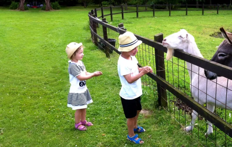 Tiere zum Anfassen